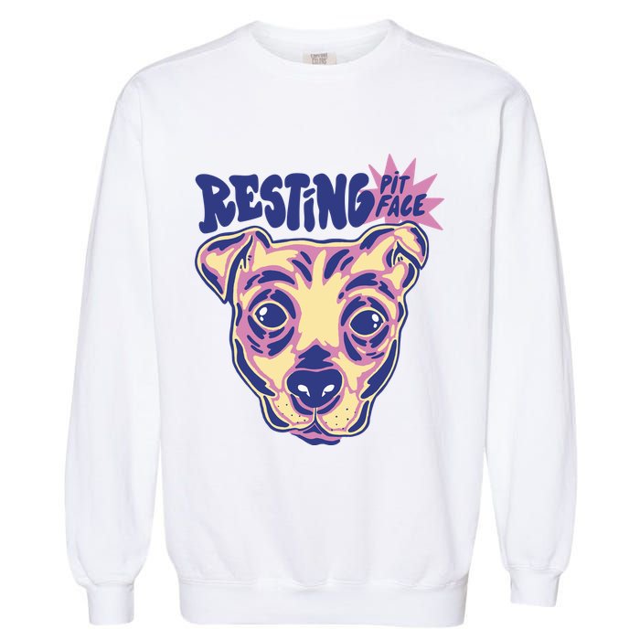 Resting Pit Face Funny Pit Bull Dog Garment-Dyed Sweatshirt