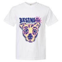 Resting Pit Face Funny Pit Bull Dog Garment-Dyed Heavyweight T-Shirt