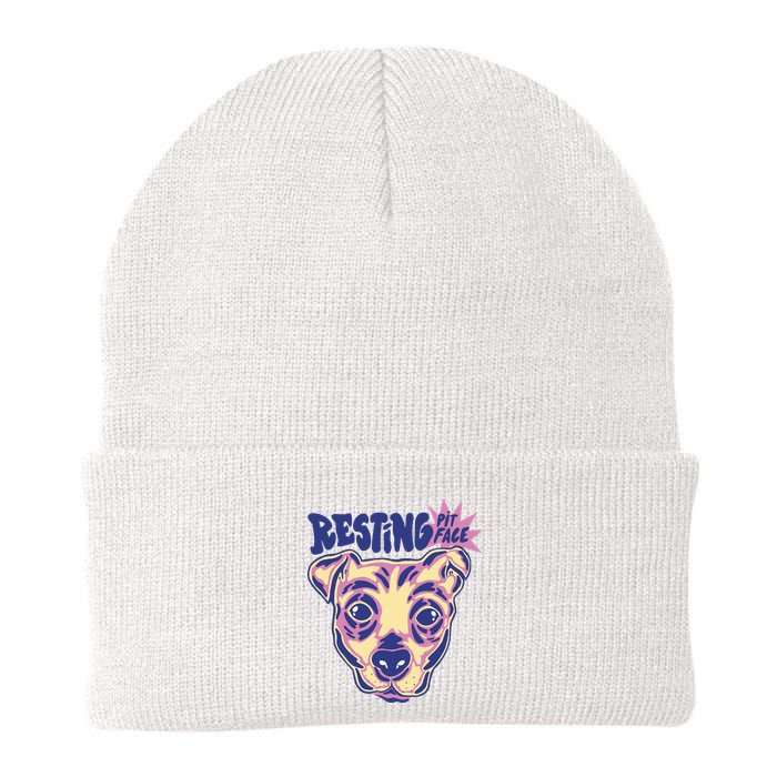 Resting Pit Face Funny Pit Bull Dog Beanie