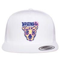 Resting Pit Face Funny Pit Bull Dog Flatbill Hat