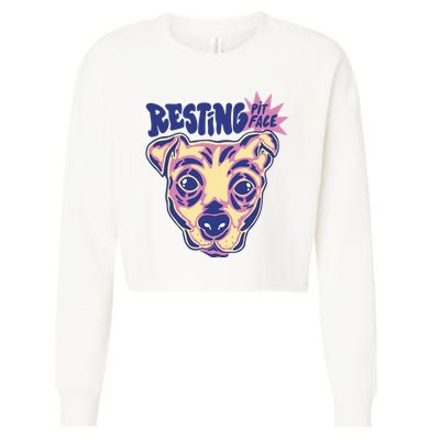 Resting Pit Face Funny Pit Bull Dog Cropped Pullover Crew