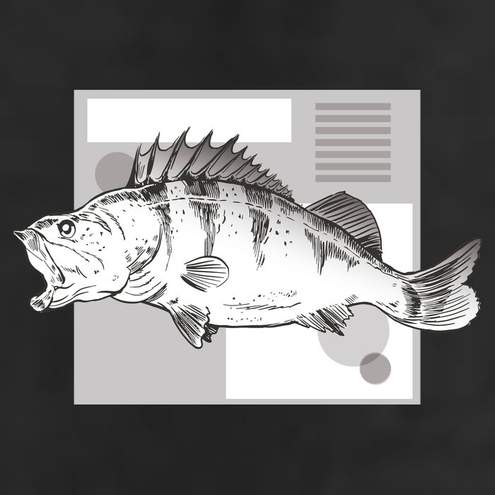 River Perch Fish Sketch 7 Panel Mesh Trucker Snapback Hat