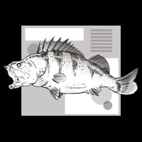 River Perch Fish Sketch Doggie Tank