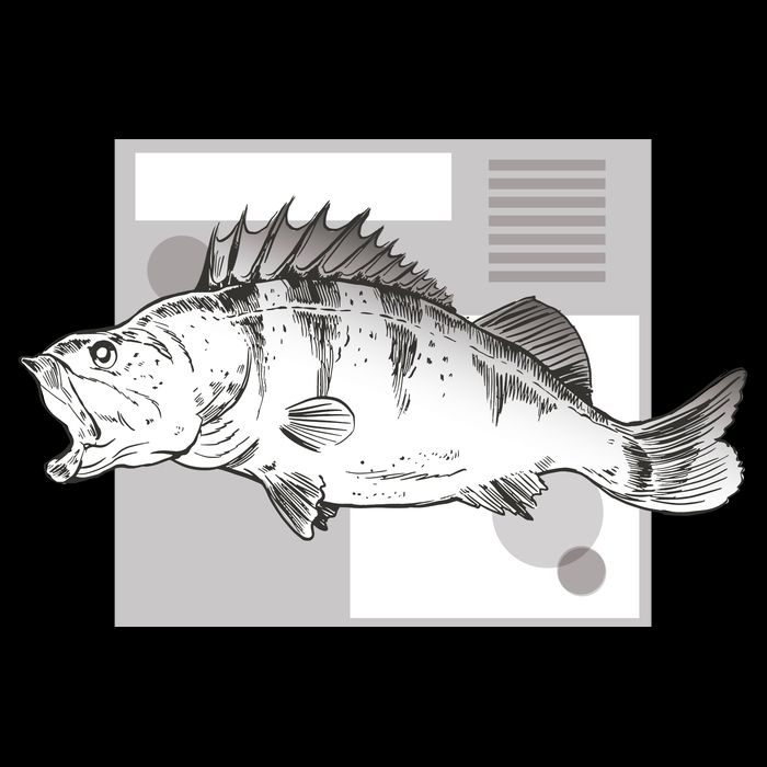 River Perch Fish Sketch Doggie Tank