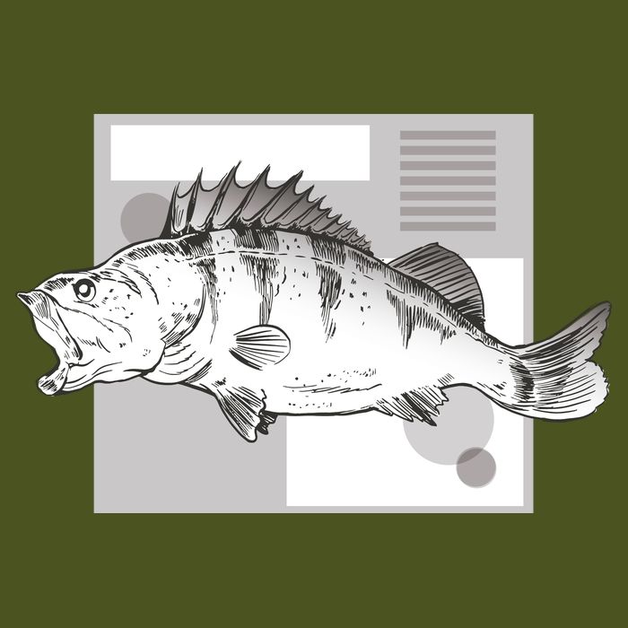 River Perch Fish Sketch Sustainable Bucket Hat