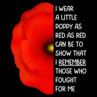 Red Poppy Flower Veterans Day USA Memorial Lest We Forget 7-Panel Snapback Hat