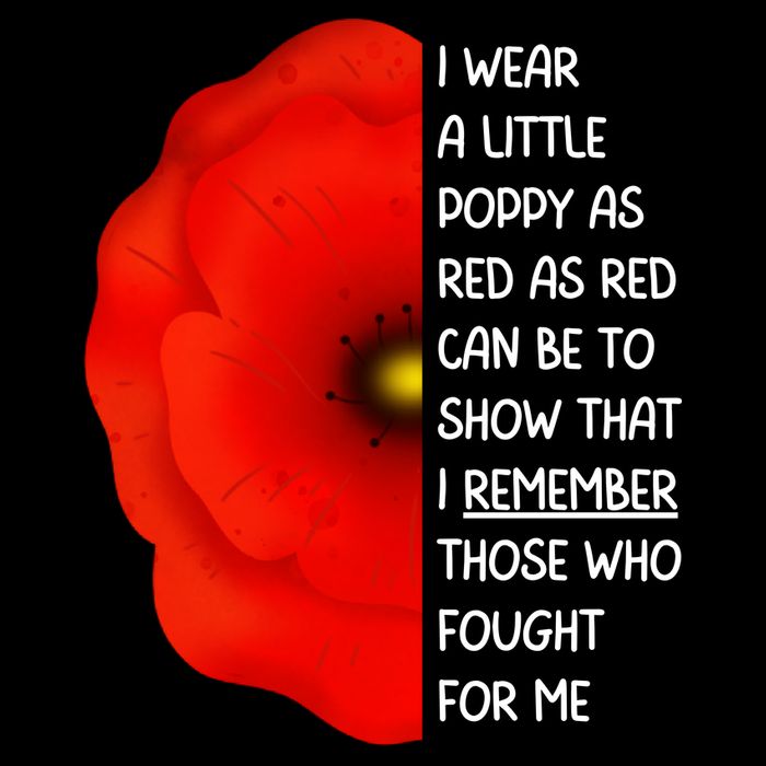 Red Poppy Flower Veterans Day USA Memorial Lest We Forget 7-Panel Snapback Hat