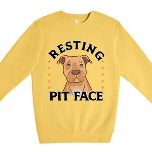 Resting Pit Face Cute Pit Bull Gift Premium Crewneck Sweatshirt