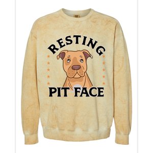 Resting Pit Face Cute Pit Bull Gift Colorblast Crewneck Sweatshirt