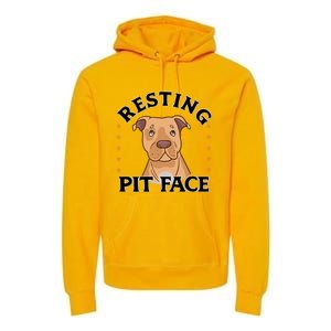 Resting Pit Face Cute Pit Bull Gift Premium Hoodie