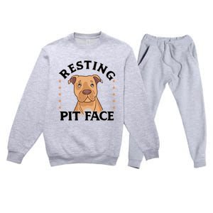 Resting Pit Face Cute Pit Bull Gift Premium Crewneck Sweatsuit Set