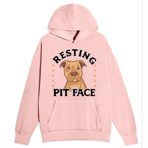 Resting Pit Face Cute Pit Bull Gift Urban Pullover Hoodie