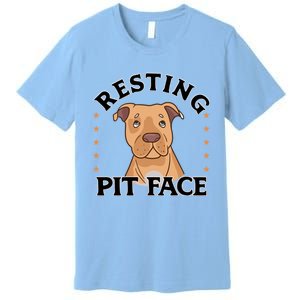 Resting Pit Face Cute Pit Bull Gift Premium T-Shirt