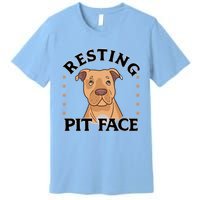 Resting Pit Face Cute Pit Bull Gift Premium T-Shirt