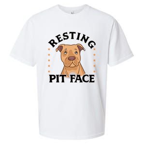 Resting Pit Face Cute Pit Bull Gift Sueded Cloud Jersey T-Shirt