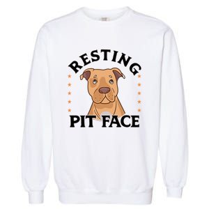 Resting Pit Face Cute Pit Bull Gift Garment-Dyed Sweatshirt