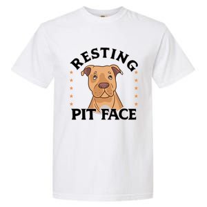 Resting Pit Face Cute Pit Bull Gift Garment-Dyed Heavyweight T-Shirt