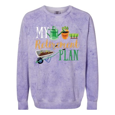 Retirement Plan Gardener Hobby Pensioner Garden Plants Gift Colorblast Crewneck Sweatshirt