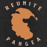 Reunite Pangea Geology Cool Comfort Performance Bucket Hat