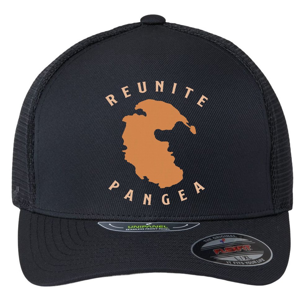 Reunite Pangea Geology Flexfit Unipanel Trucker Cap