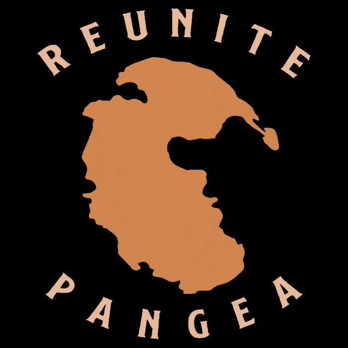 Reunite Pangea Geology Sustainable Bucket Hat