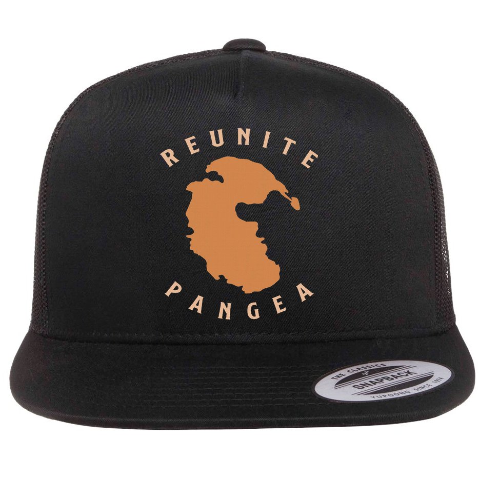 Reunite Pangea Geology Flat Bill Trucker Hat