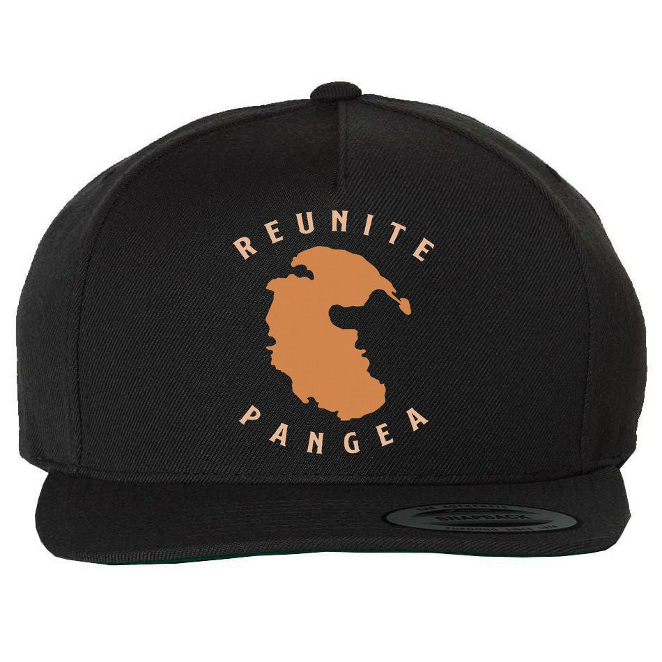 Reunite Pangea Geology Wool Snapback Cap