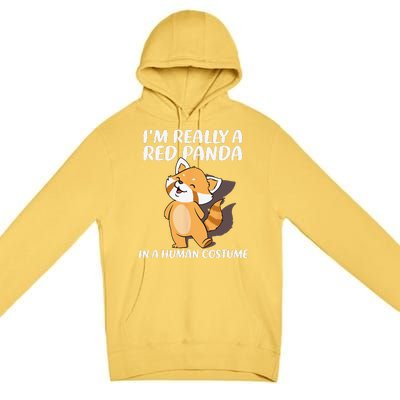 Red Panda Halloween Costume Red Pandas Premium Pullover Hoodie