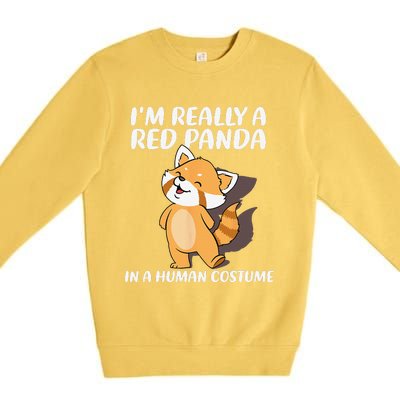 Red Panda Halloween Costume Red Pandas Premium Crewneck Sweatshirt