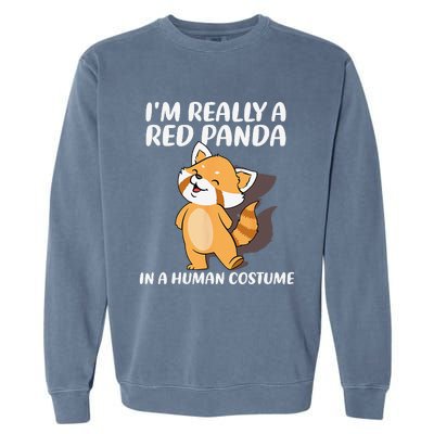 Red Panda Halloween Costume Red Pandas Garment-Dyed Sweatshirt