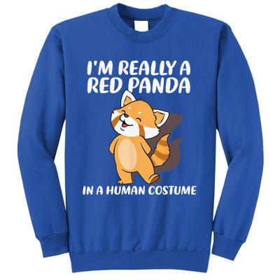 Red Panda Halloween Costume Red Pandas Sweatshirt