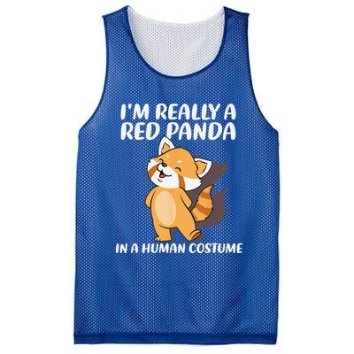 Red Panda Halloween Costume Red Pandas Mesh Reversible Basketball Jersey Tank