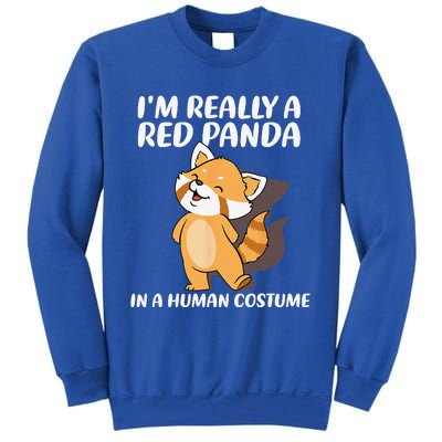 Red Panda Halloween Costume Red Pandas Tall Sweatshirt