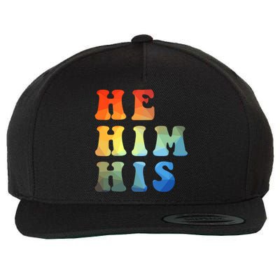 Rainbow Pronouns He Him His Straight Against Hate Retro Gift Wool Snapback Cap