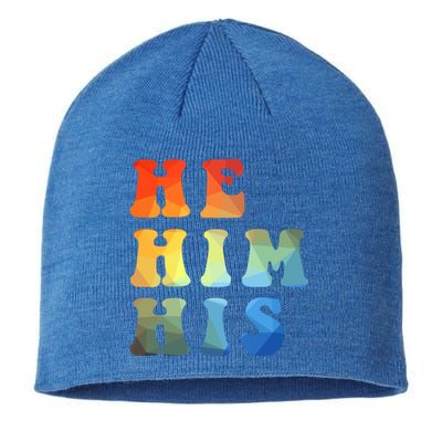 Rainbow Pronouns He Him His Straight Against Hate Retro Gift Sustainable Beanie