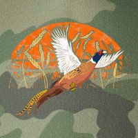 Ringneck Pheasant Hunting Upland Bird Hunter Grain Field Legacy Tie Dye Trucker Hat