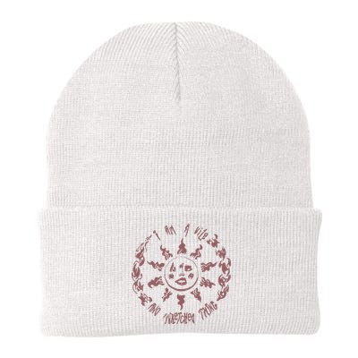 Raw Paw Heatwave I Am A Vile And Wretched Thing Knit Cap Winter Beanie