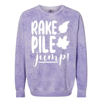 Rake Pile Jump Fall Lover Colorblast Crewneck Sweatshirt