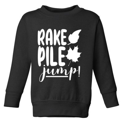 Rake Pile Jump Fall Lover Toddler Sweatshirt