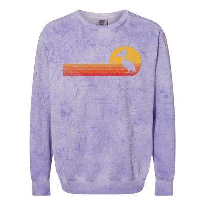 Retro Pelican Lover Funny Pelican Vintage Colorblast Crewneck Sweatshirt