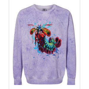 Rainbow Peacock Mantis Shrimp Colorblast Crewneck Sweatshirt