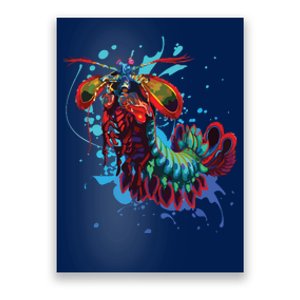 Rainbow Peacock Mantis Shrimp Poster