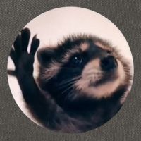 Raccoon Pedro Meme Vibing On Song Cotton Canvas Backpack