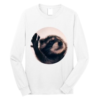 Raccoon Pedro Meme Vibing On Song Long Sleeve Shirt