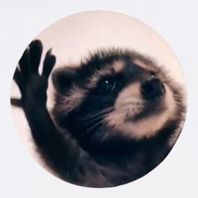 Raccoon Pedro Meme Vibing On Song T-Shirt