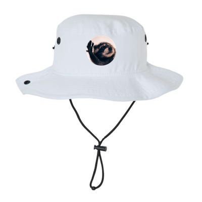 Raccoon Pedro Meme Vibing On Song Bucket Hat