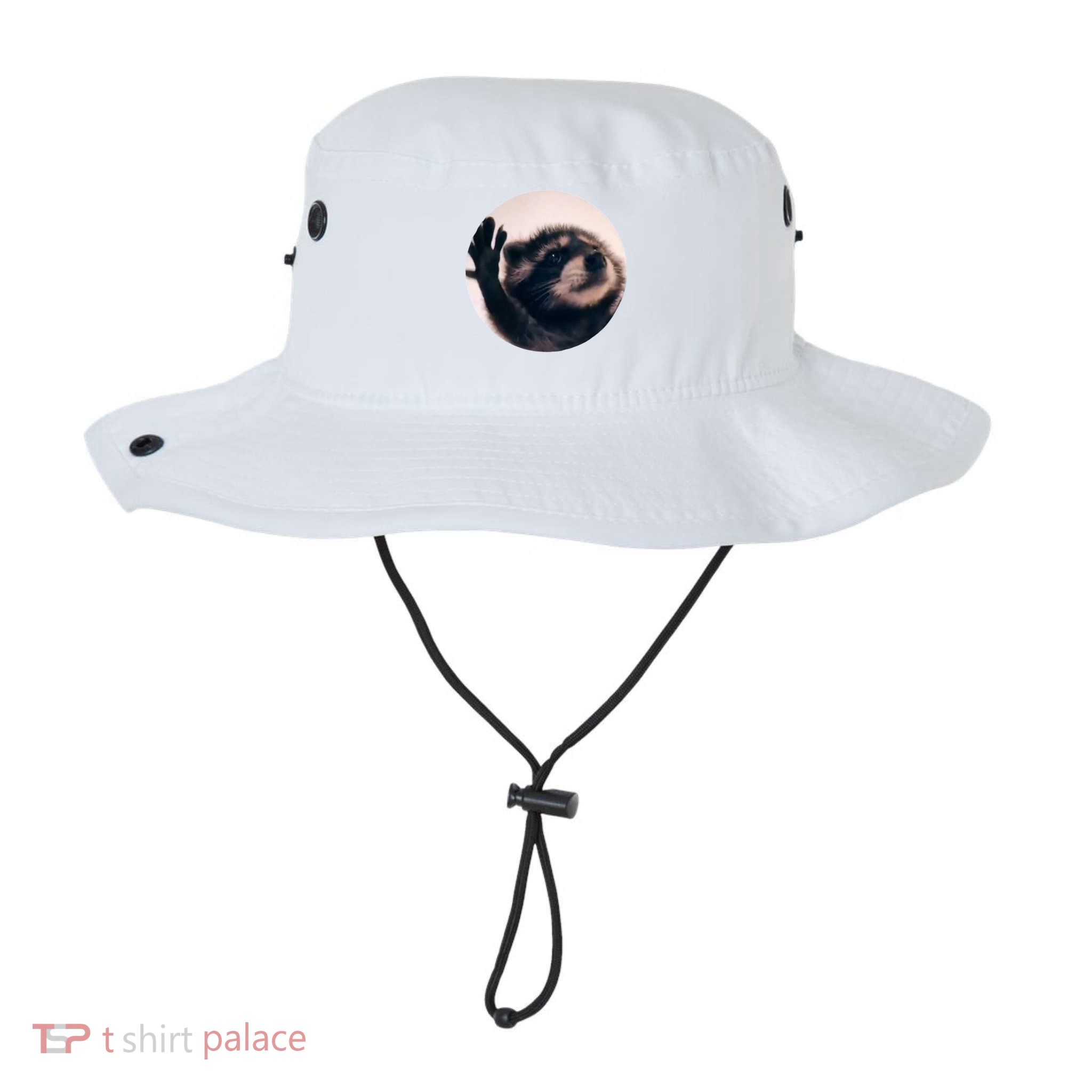 Raccoon Pedro Meme Vibing On Song Bucket Hat