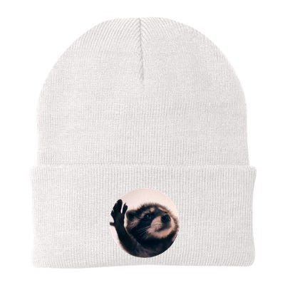 Raccoon Pedro Meme Vibing On Song Beanie