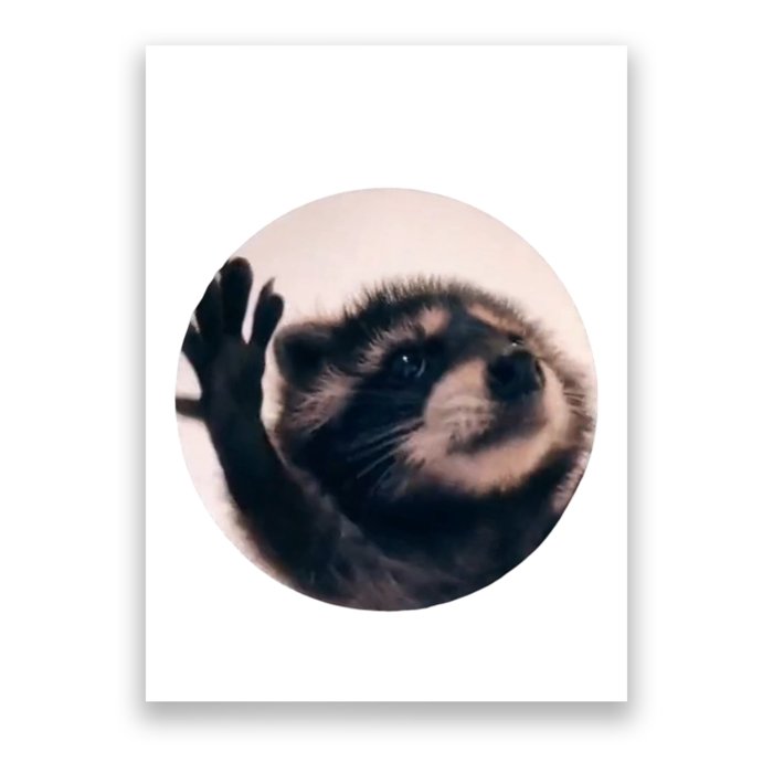 Raccoon Pedro Meme Vibing On Song Poster