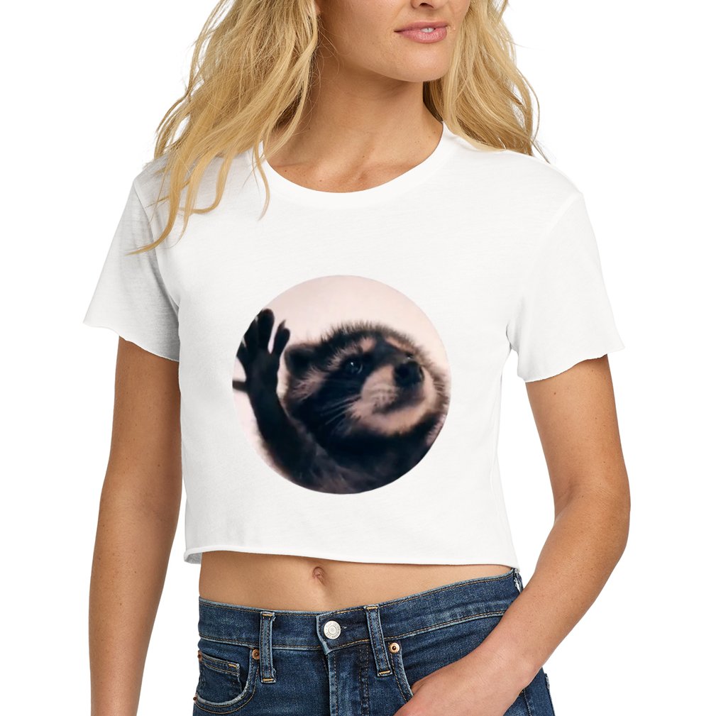 Raccoon Pedro Meme Vibing On Song Crop Top